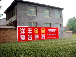 衡东如何让墙体广告展现最大化效果