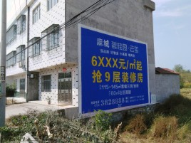 衡东墙体广告质量分析