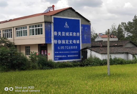 衡东决定墙体广告价格的因素有哪些？