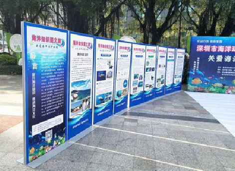 衡东KT板的种类和知识。